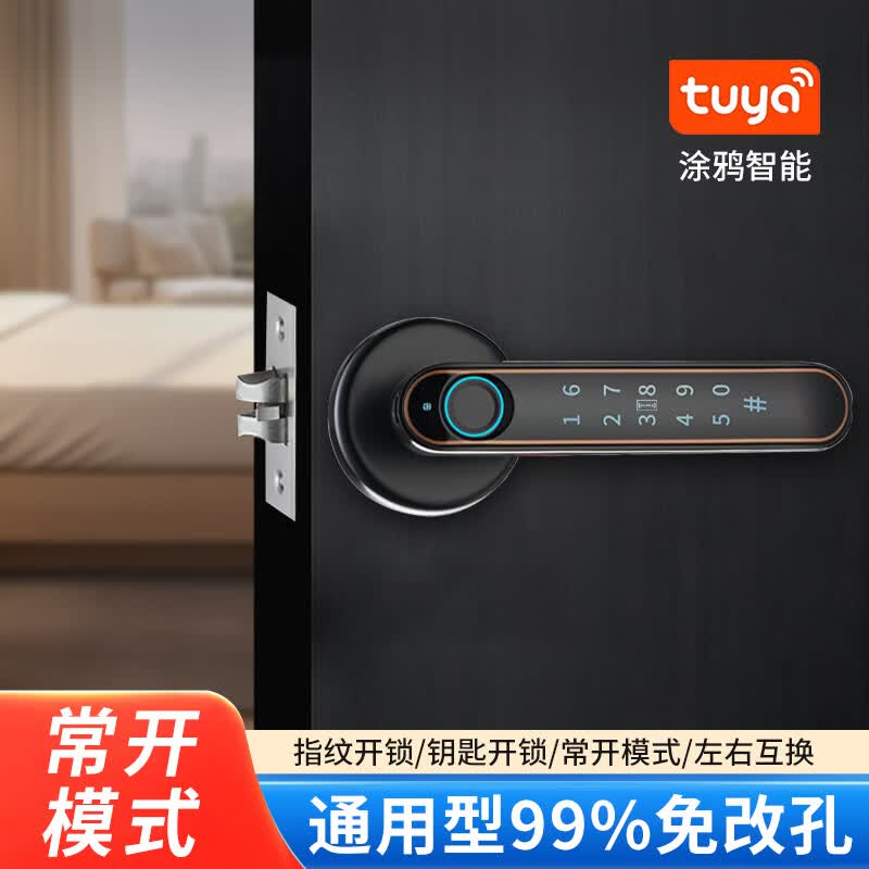 英可语音导航指纹密码锁 家用房门智能锁办公室卧室电子密码房门锁 语音双舌涂鸦蓝牙款（自主安装） 京东折扣/优惠券