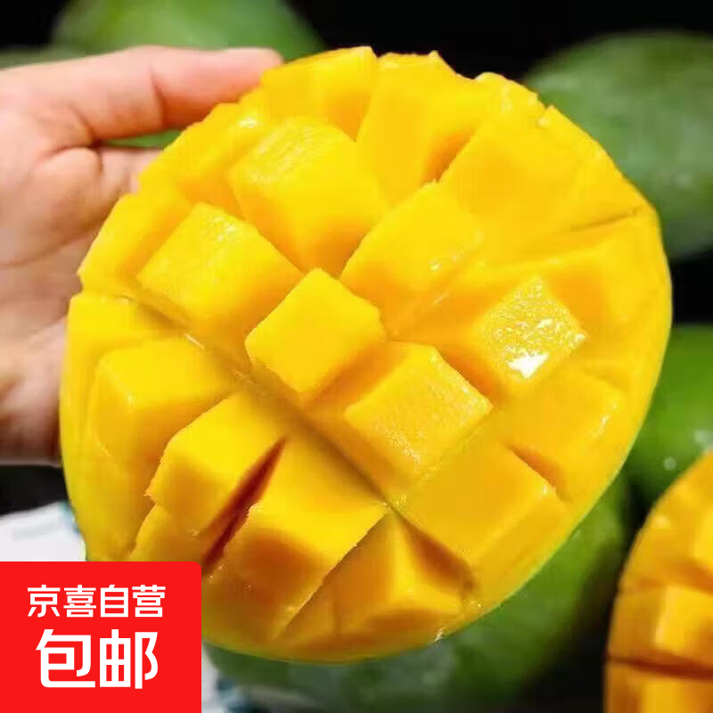 凯特芒果当季时令新鲜热带水果整箱红金玉青煌芒果海南芒果鲜甜 带箱2斤(净重1.8斤)单果250g+