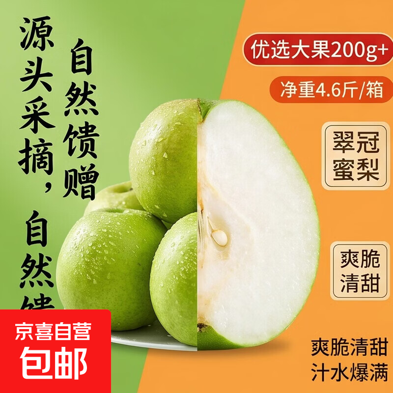 应季新鲜水果苏翠一号早梨正宗翠冠蜜梨应季水果新鲜采摘青皮梨 青皮梨-大果200g+ 青蜜梨带箱5斤（净重4.6斤）