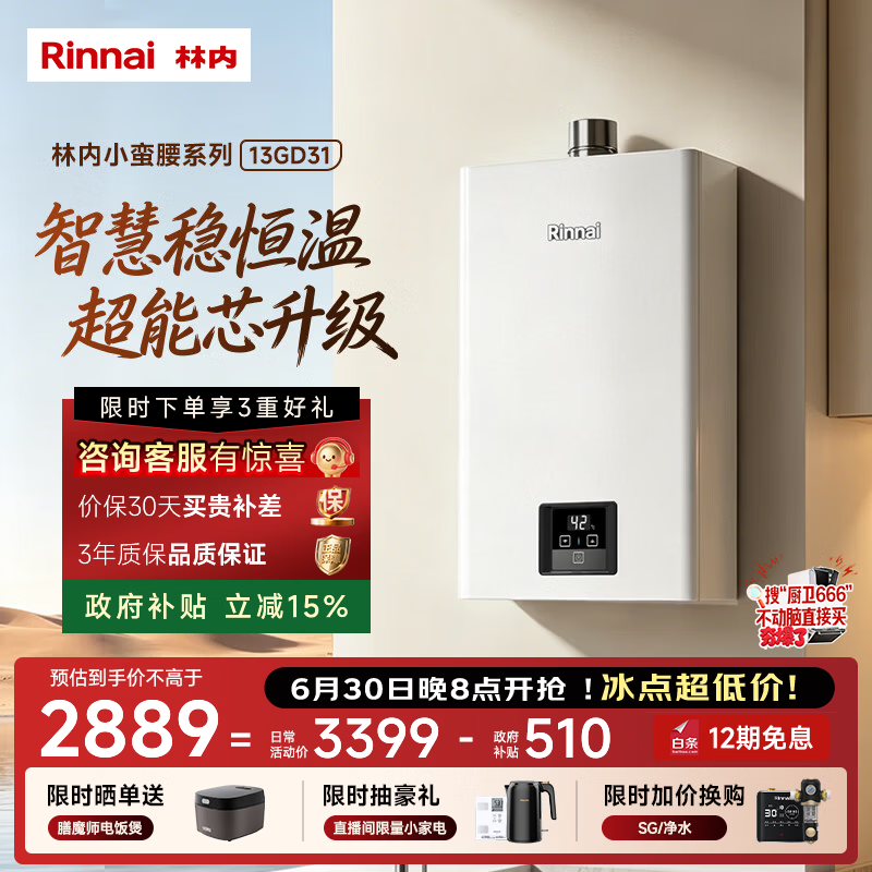 林内（Rinnai）【小蛮腰】13升燃气热水器 天然气热水器 智慧恒温升级CPU 低压启动上门安装13GD31（JSQ26-GD31）