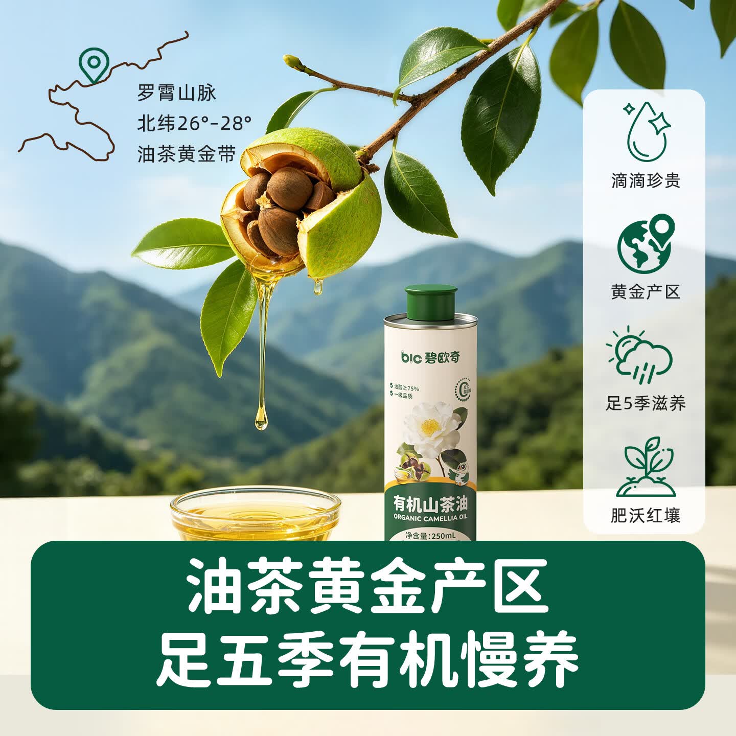 碧欧奇有机山茶油 煎炒煮炸茶籽油一级食用油东方有机木本油 有机山茶油250ml