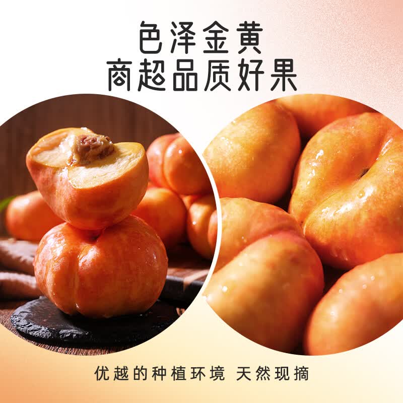 燕农赵品彩虹蟠桃黄油蟠桃新鲜水果黄金油蟠桃黄桃当季时令整箱礼盒装送礼 净重4斤礼盒装丨特大果丨【单果150-200g】