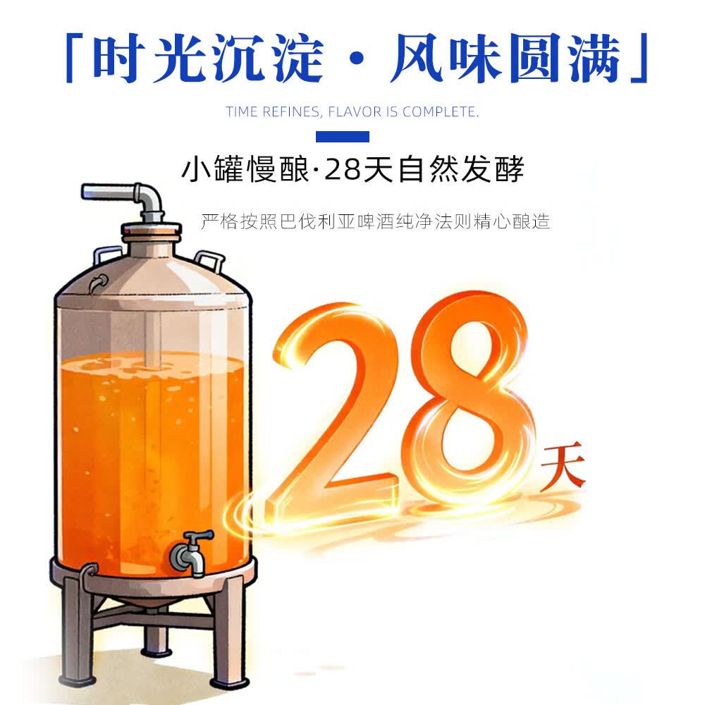 央小啤12P 比利时小麦全麦精酿啤酒 锶型水28天慢发酵进口麦芽整箱送礼 500ml 6瓶 礼盒装