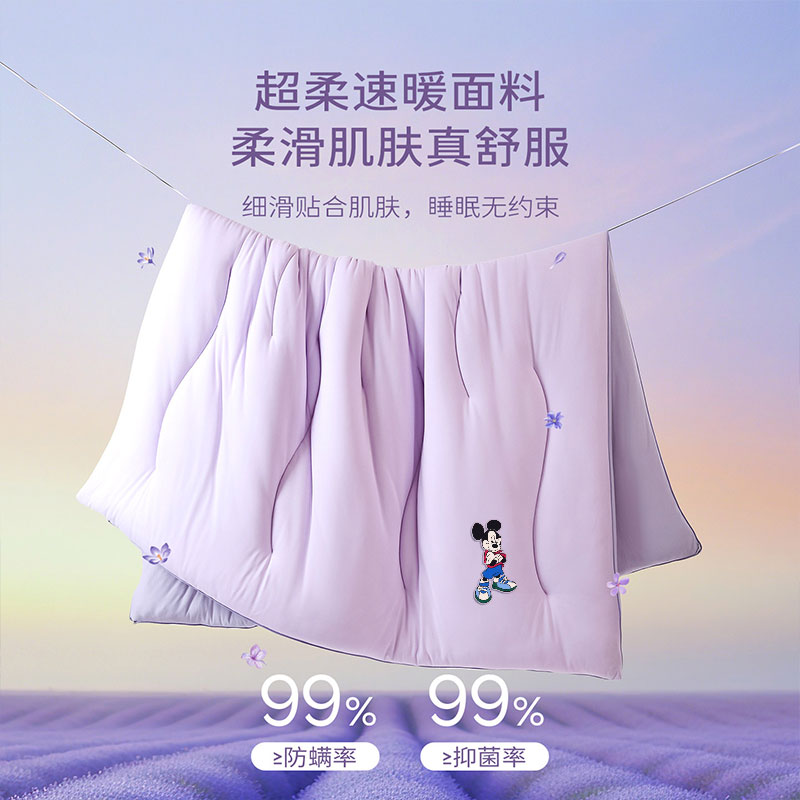 无印良品A类春秋被子被芯150x200cm家用被子四季通用单双人床上用品软被褥 紫色【A类母婴级 可裸睡】 150cm*200cm春秋被【约4斤】