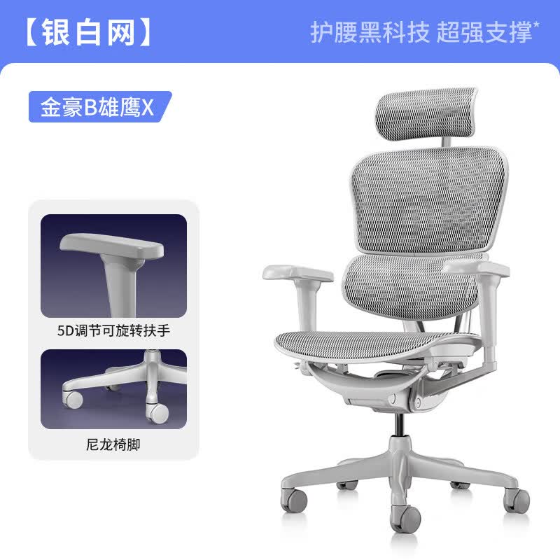保友办公家具（Ergonor）保友金豪b雄鹰 人体工学椅电脑椅久坐电竞靠背家用办公可躺老板椅 【金豪b雄鹰X】白色网 高承重五爪