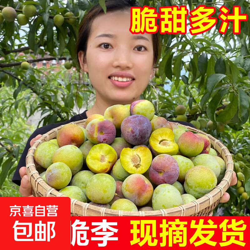 正宗半边红脱骨李子当季新鲜脆李时令孕妇水果脆甜 产地直发 单果20g+ 3斤