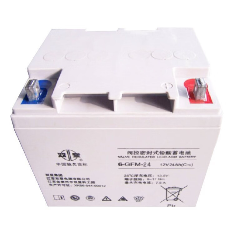 双登阀控密封式铅酸蓄电池6-GFM-100/12V40AH/65AH/150AH/200AH/应急UPS用 6-GFM-28(12V28AH)