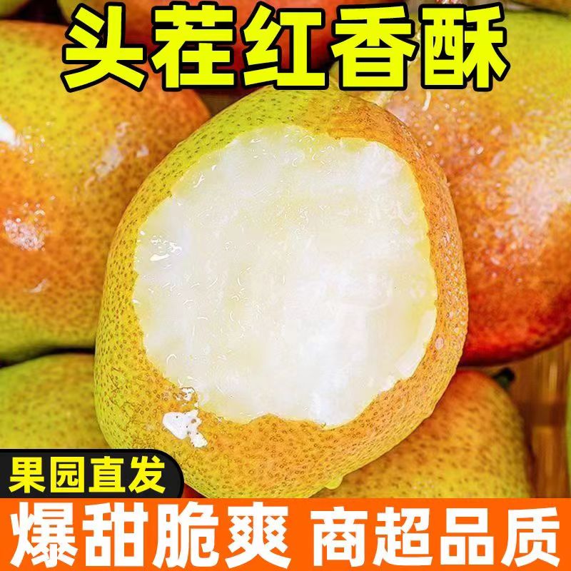 千園九味陜西紅香酥梨 新鮮水果香梨子現(xiàn)摘應(yīng)季時(shí)令當(dāng)季水果生鮮整箱 整箱9斤凈重8.5斤【單果100g+】