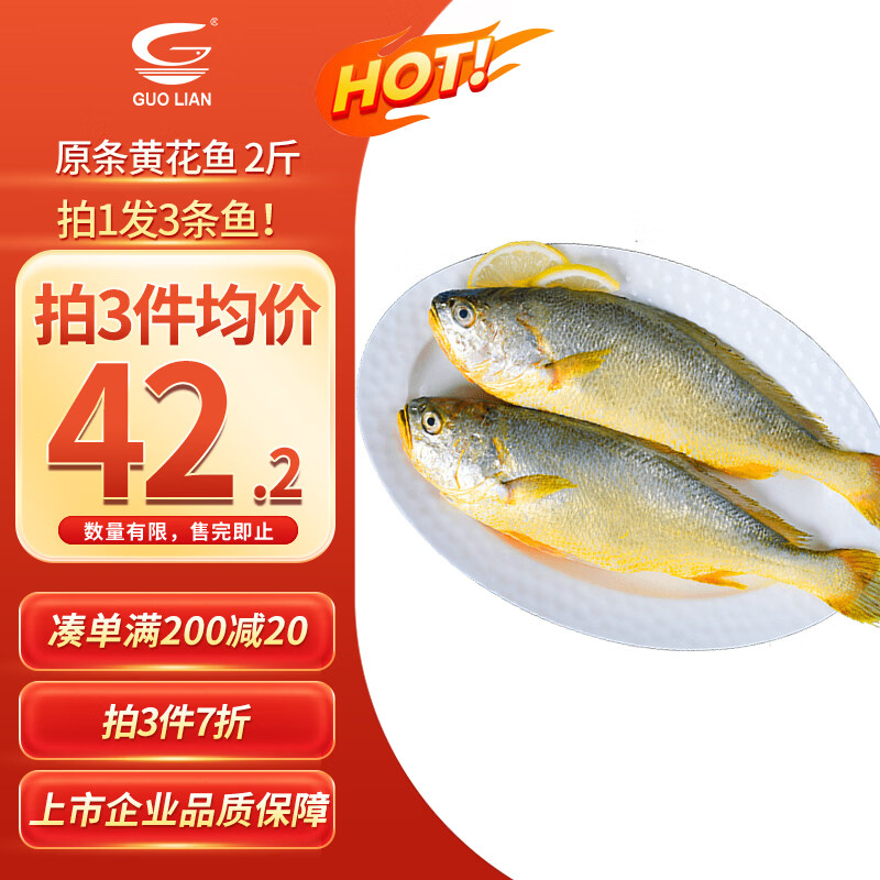 GUO LIAN国联水产 原条黄花鱼净重2斤3条宁德大黄鱼冷冻 生鲜海鲜水产