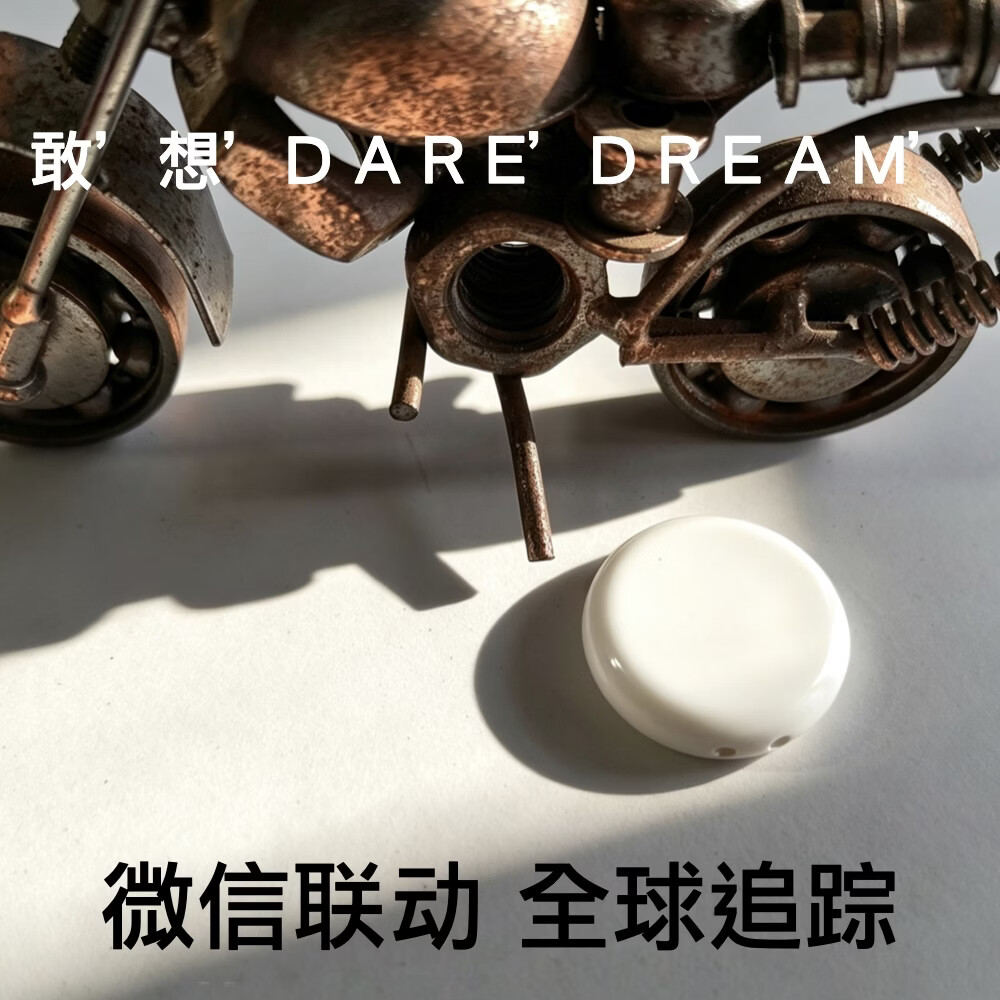 深岸防走失微型超级小定位器追踪器(人员宠物鹦鹉汽车适用)待机1年防水(苹果安卓手机) 琴键白