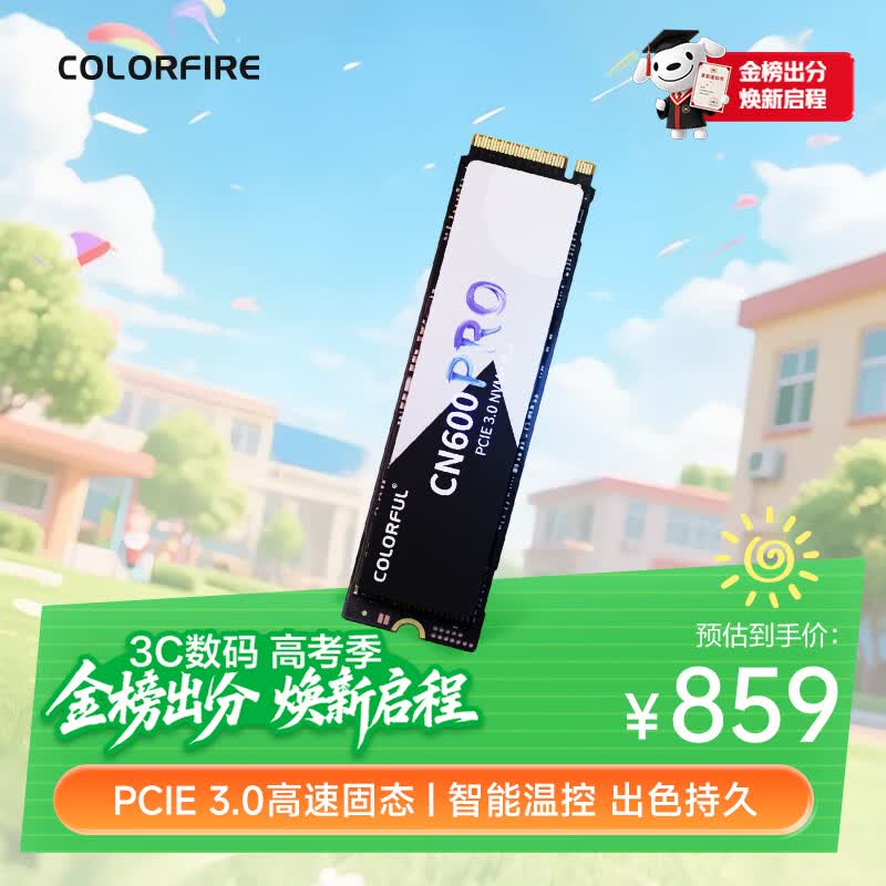 七彩虹（Colorful）1TB SSD固态硬盘 M.2接口(NVMe协议) CN600 PRO系列PCIe 3.0 x4 TLC颗粒