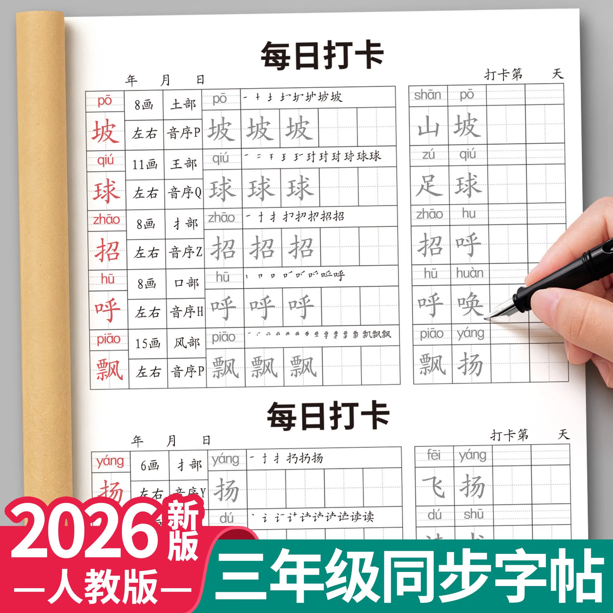 金枝叶三年级上下册练字帖人教版语文同步生字字帖每日一练小学生专用打卡练字本识写字表笔画笔顺描红本 三年级上册【送组词】含一二类字