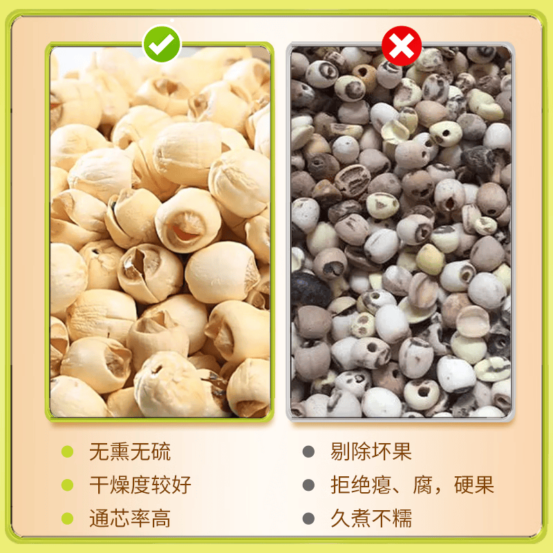 仁和湘潭产去芯磨皮白莲子 桂圆百合银耳羹煲汤食材100g 【买二送一 到手3罐】 100g*3罐