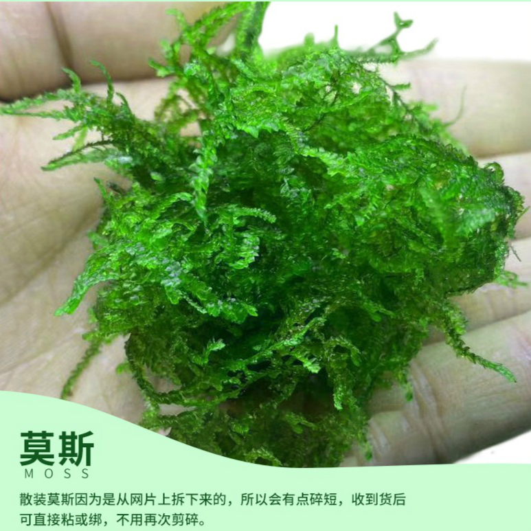 阿可喏斯 品牌报价图片优惠券 阿可喏斯品牌优惠商品大全潜力降序 11 虎窝购