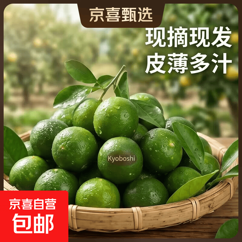 海南小金桔青桔新鲜青柠檬青柑皮薄应季当季水果柠檬新鲜整件免邮 小青柠（中果5g起） 1斤-净重