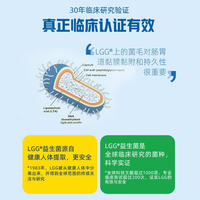 康萃乐Culturelle益生菌儿童LGG鼠李糖乳杆菌 成人幼儿童调理肠胃益生菌 【150亿活菌】HW成人益生菌胶囊 30粒*1盒