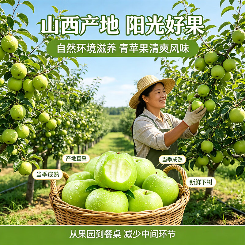 亨迅山西青苹果水果现摘青平果酸甜孕妇整箱新鲜水果 5斤丨【果农手选】净重4.5斤