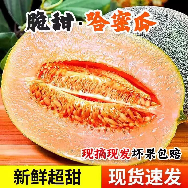 正宗脆甜西州蜜25生鲜应季时令水果京东物流产地直发 脆甜多汁8-10斤(2-4粒装)带箱