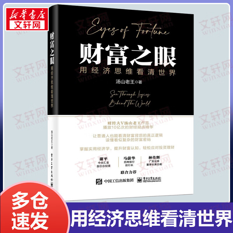 财富之眼:用经济思维看清世界 财经大V汤