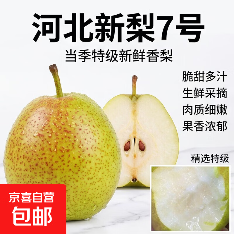 正宗河北新梨7号香梨特级新鲜水果梨子当季脆甜多汁生鲜 带箱4斤单果130+净重3.6斤