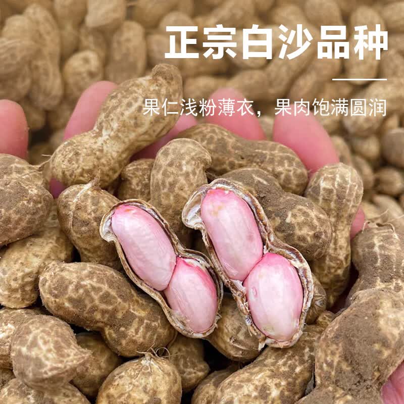 2026新鲜带壳花生应蔬菜农家自种鲜花生烧烤水煮下酒菜产地直发 3斤花生
