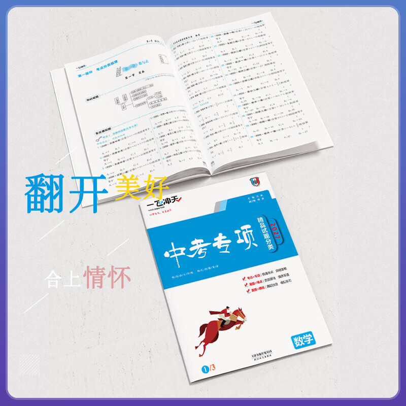 【天津发货后次日达】一飞冲天2027天津中考 2027天津一飞冲天中考模拟试题汇编真题卷全套语文数学英语物理化学历史政治 中考专项总复习历年真题试卷初三九年级 27版中考专项【语数英物化史政】7本