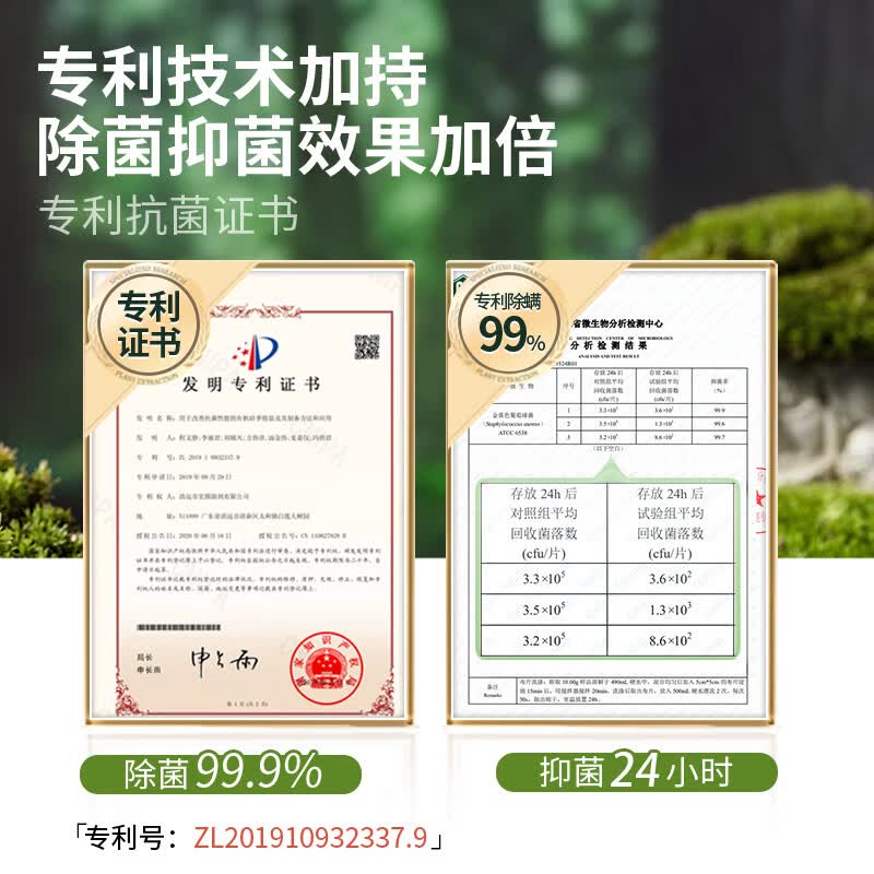 蔬果园内衣内裤洗衣液 内衣清洗液长效去血渍黄渍 洗内衣内裤专用 【除菌去血渍】500g*2
