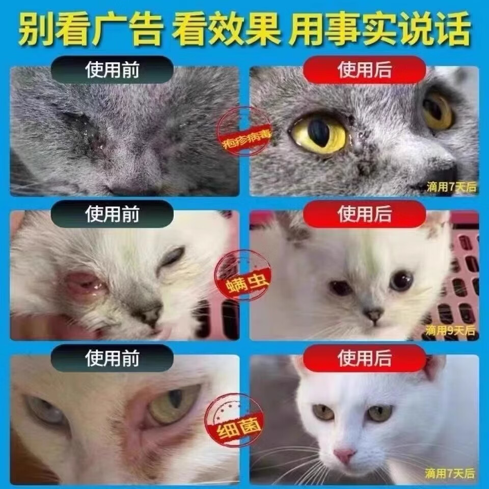 猫鼻支专用宠物猫咪眼睛泪痕眼屎流鼻子涕精神不佳支提升免疫专用 买五盒发九盒【永不再犯】