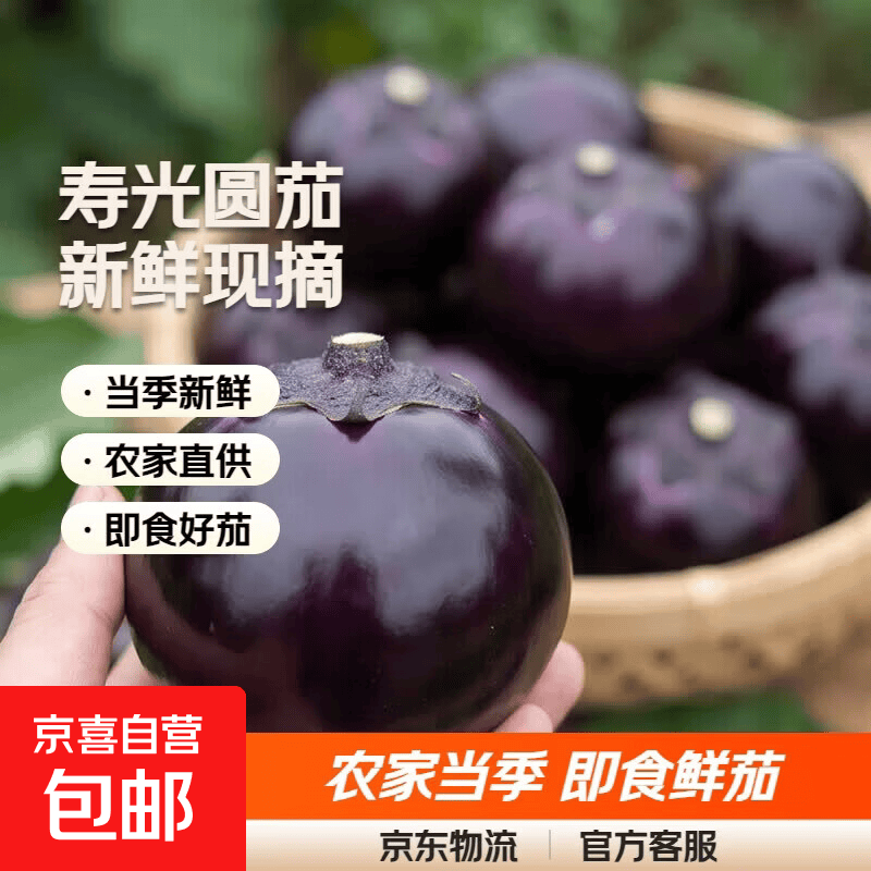 圆茄寿光茄子新鲜蔬菜紫圆茄批发时令蔬菜整箱现摘农家当季茄子 带箱2斤 1.8斤 净重
