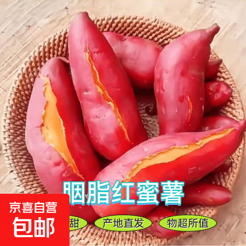 源头直发新鲜红心西瓜红蜜薯河北现挖现发沙地地瓜 带箱2斤（净重1.8斤） 小果