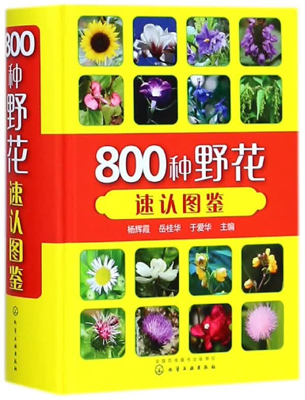 800种野花速认图鉴(精)