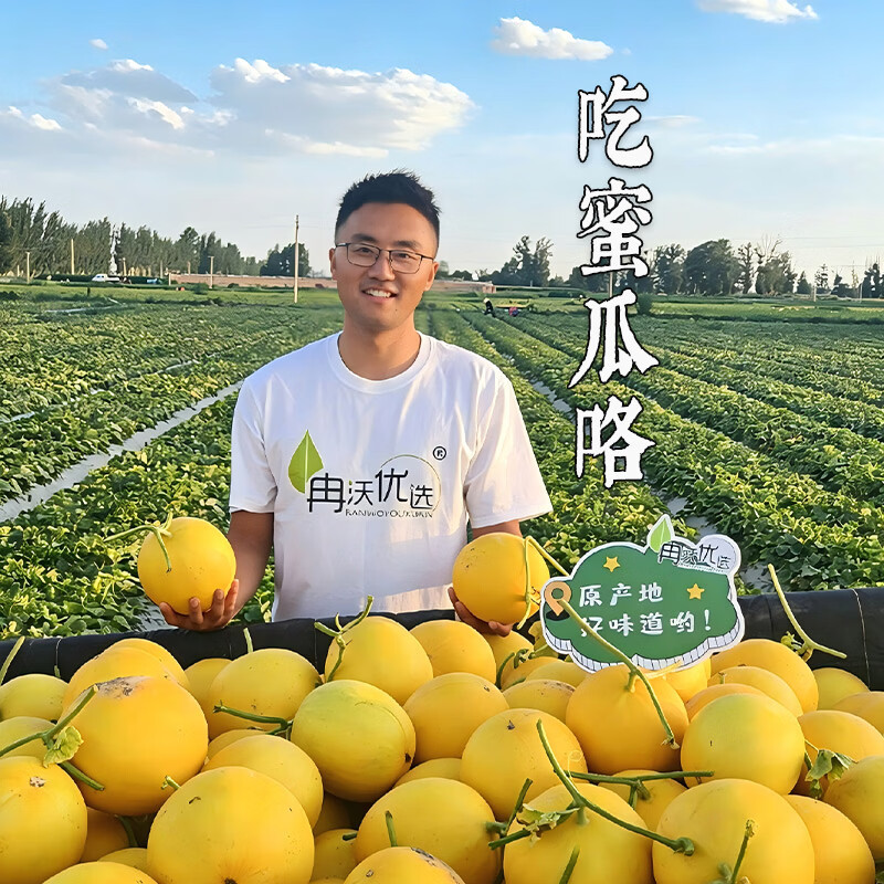冉沃优选现摘头茬民勤蜜瓜白兰瓜新鲜黄金蜜瓜当季水果沙漠红金宝甜香瓜 【金红宝】净4.5-5斤(1-2枚) 现摘速发