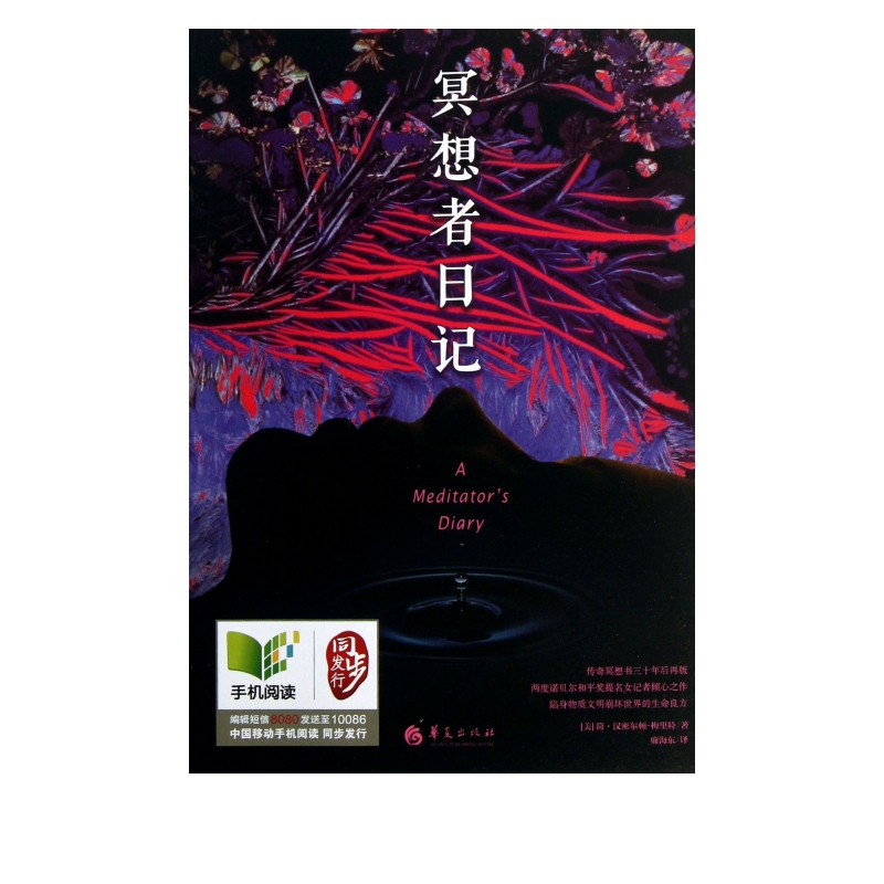 冥想者日记