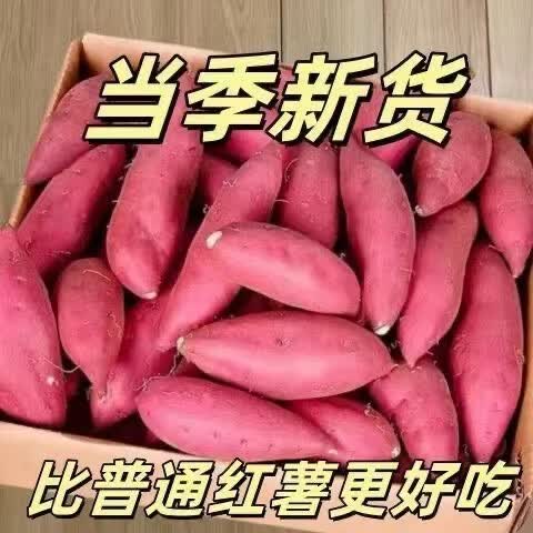 【热卖】农家龙九蜜薯新鲜农家自种沙地蜜薯地瓜整箱批发 蜜薯 5斤 带箱 小果