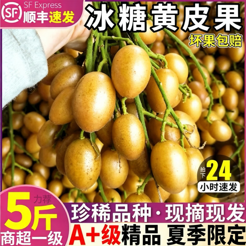 三萌果蔬广东鸡心黄皮果【顺丰冷链闪送】当季特产新鲜水果节日送礼 10斤精选装【冰糖心黄皮-纯甜无酸】净重8斤 S+级臻品果【品质升级】冷链速发