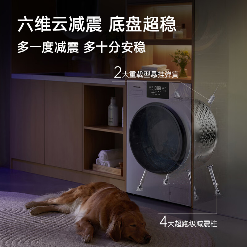 松下(Panasonic)白月光5.0SE 滚筒洗衣机 10KG大容量 超薄全嵌 专业除毛羽绒服洗 以旧换新补贴 XQG100-F2A1 滚筒单洗 10kg 白色款
