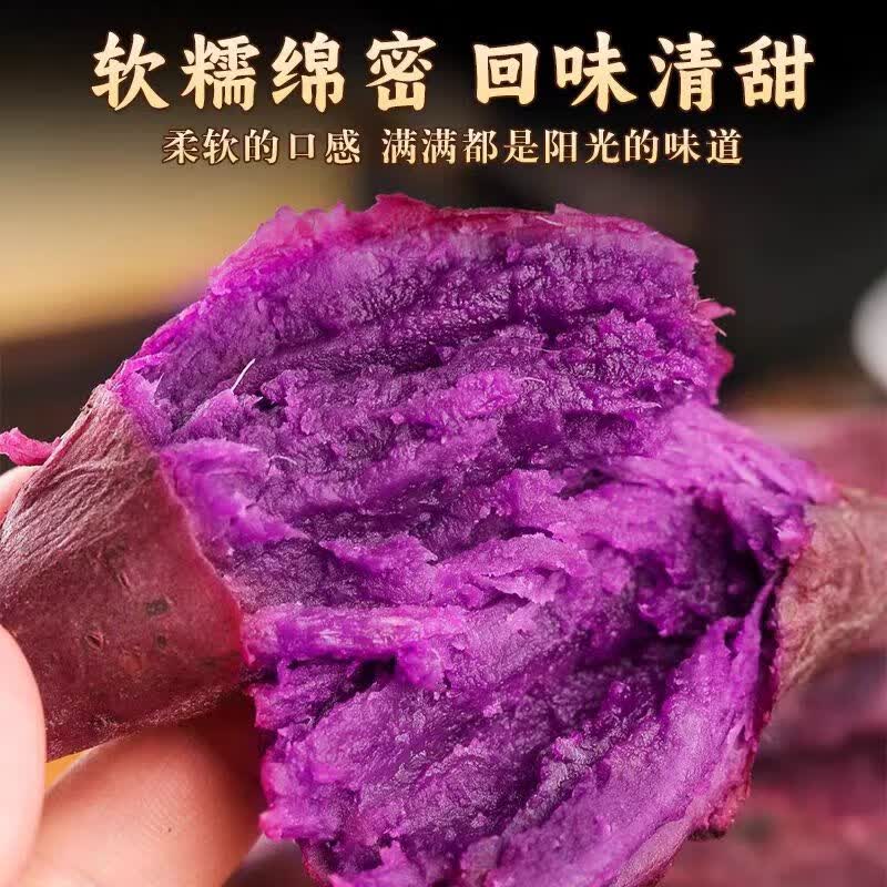 【京东速运】新鲜紫薯板栗红薯番薯蜜薯紫罗兰健康减脂农家自种 5斤 礼盒精品果【100克-300克】个头均匀