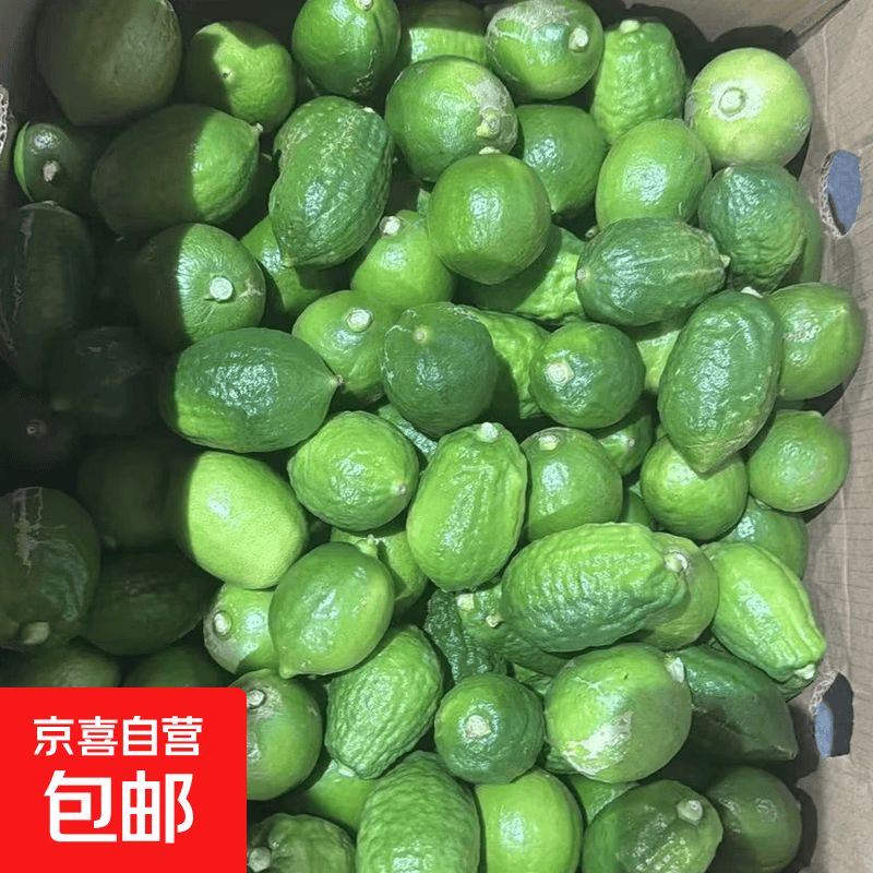 9.1香水柠檬带箱5斤特惠