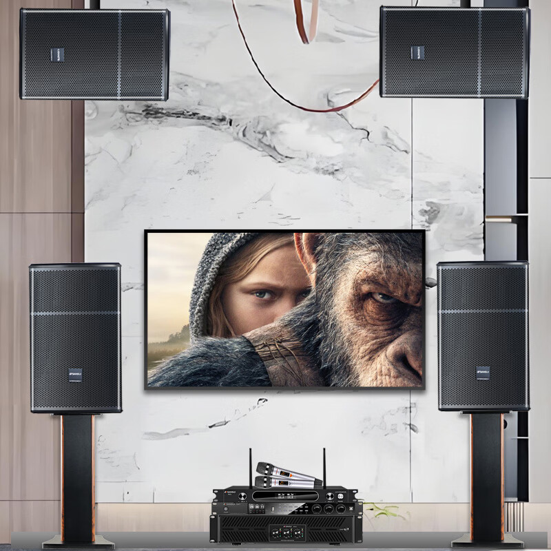 山水(SANSUI)SQ12专业KTV家用家庭大功率功放K歌音箱卡拉OK点歌舞台音响 【热销】SQ12+大功率后级功放+效果器+话筒+2T点歌机