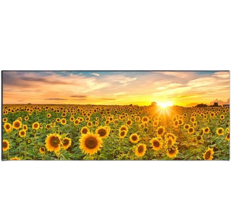 创京懿选风景油画装饰画向日葵日出花海花卉客厅轻奢沙发背景墙挂壁画