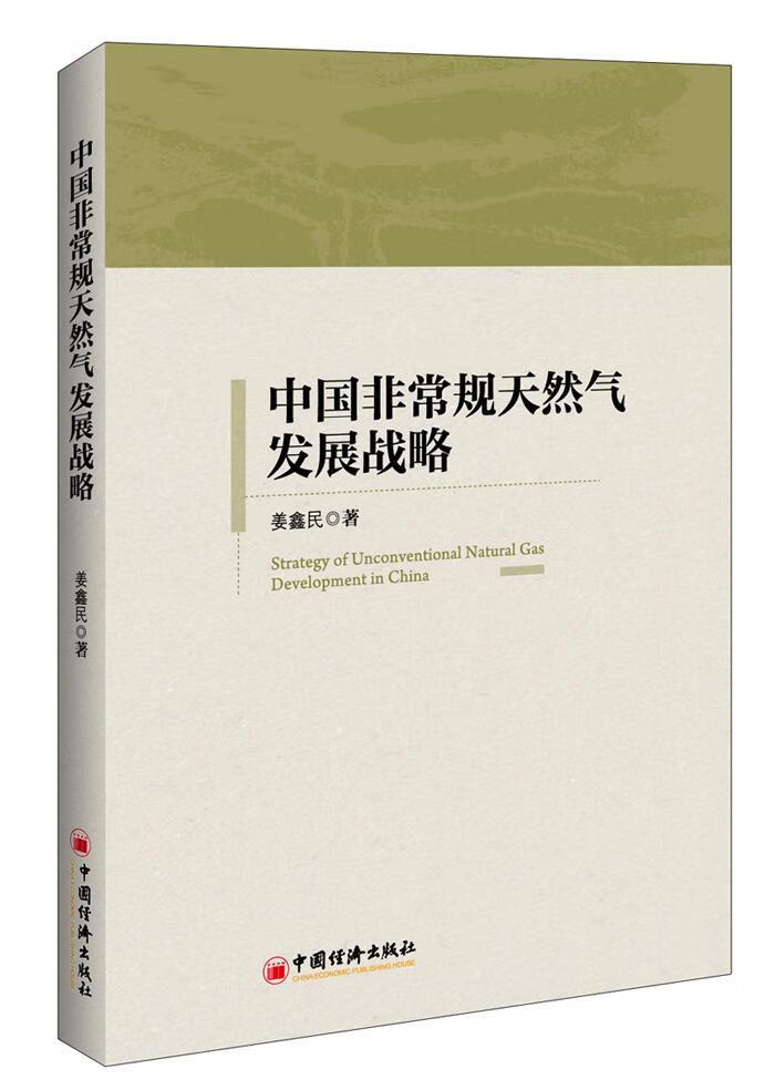 中国规天然气发展战略 978751364