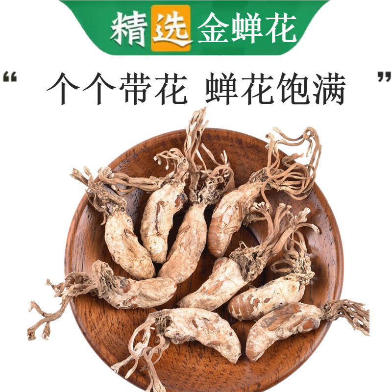 金蝉花中药材2024干品大虫草知了金蚕花煲汤泡酒滋补 10只金蝉花