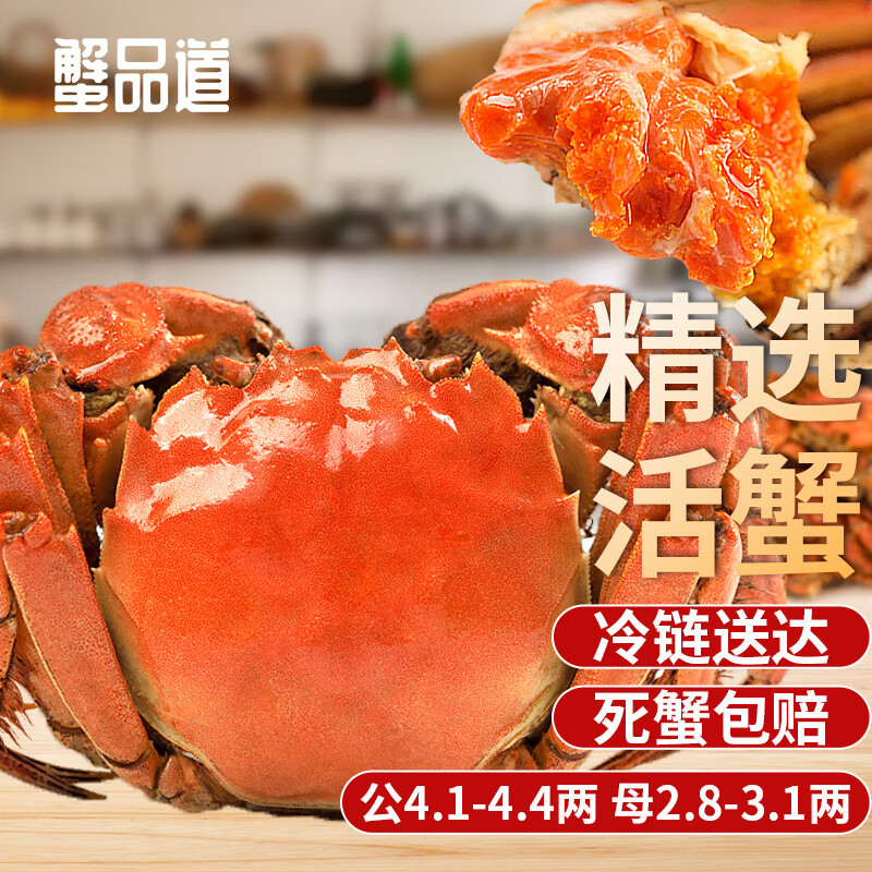【活蟹】蟹品道大闸蟹鲜活螃蟹现货 公4.0-4.3两 母2.