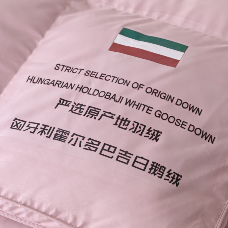 鹅绒羽绒被匈牙利100%白鹅绒被子被芯春秋加厚保暖双人冬季被褥 粉色【100%匈牙利进口羽绒】 220*240cm填充3500克