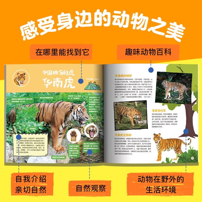 随身携带的动物园（全6册 北京 上海 南京 广州 成都 西宁）【5-12岁】 齐新章等 著详情图