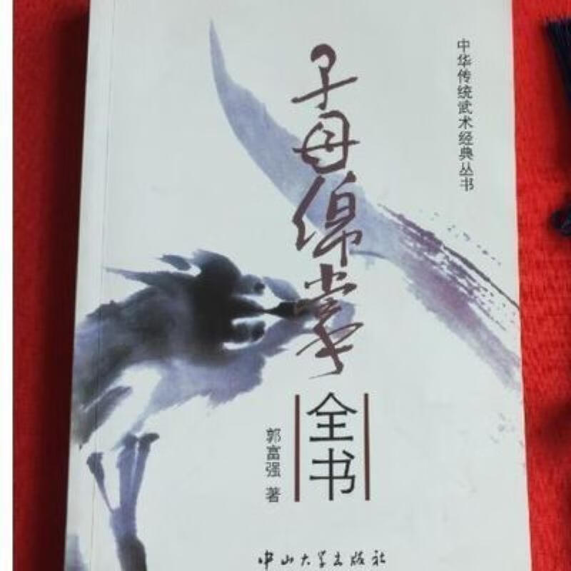 【二手9成新】-子母绵掌全书中华传统武术经典形意拳子母绵掌套 煌