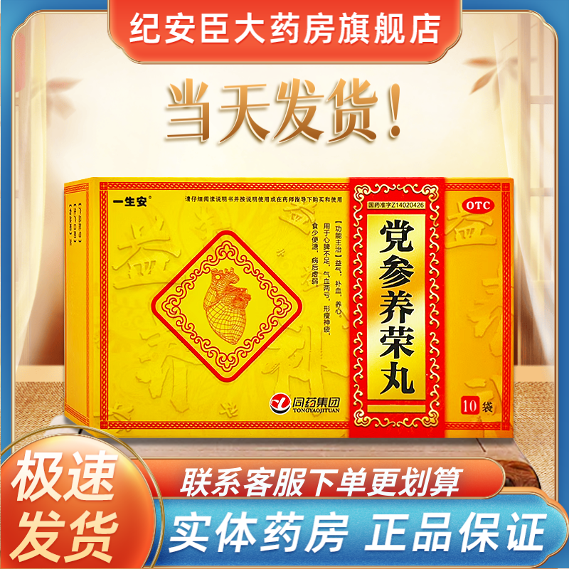一生安 党参养荣丸9g*10袋 益气补血养心 1小盒