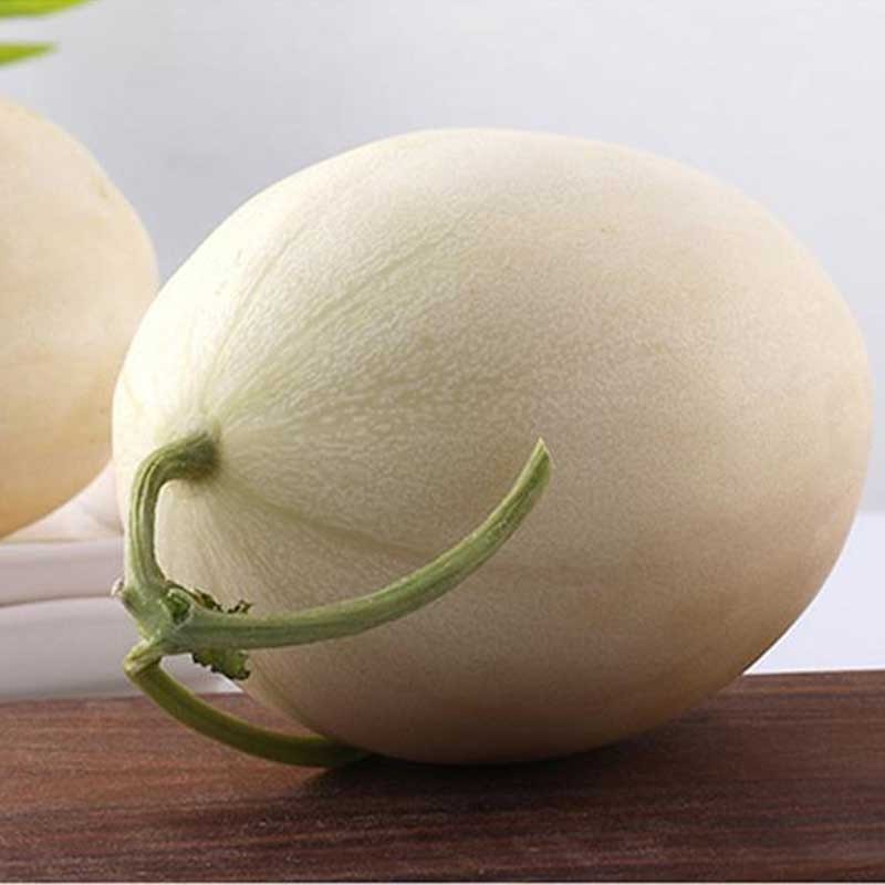 甜芋果月现摘东方蜜甜瓜当季白玉香脆蜜瓜 新鲜水果 5斤