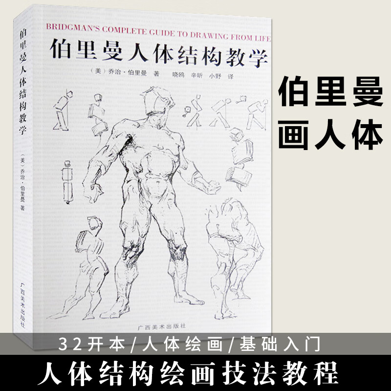 【现货速发】伯里曼人体结构教学美乔治伯里曼乔治伯里曼著解剖素描