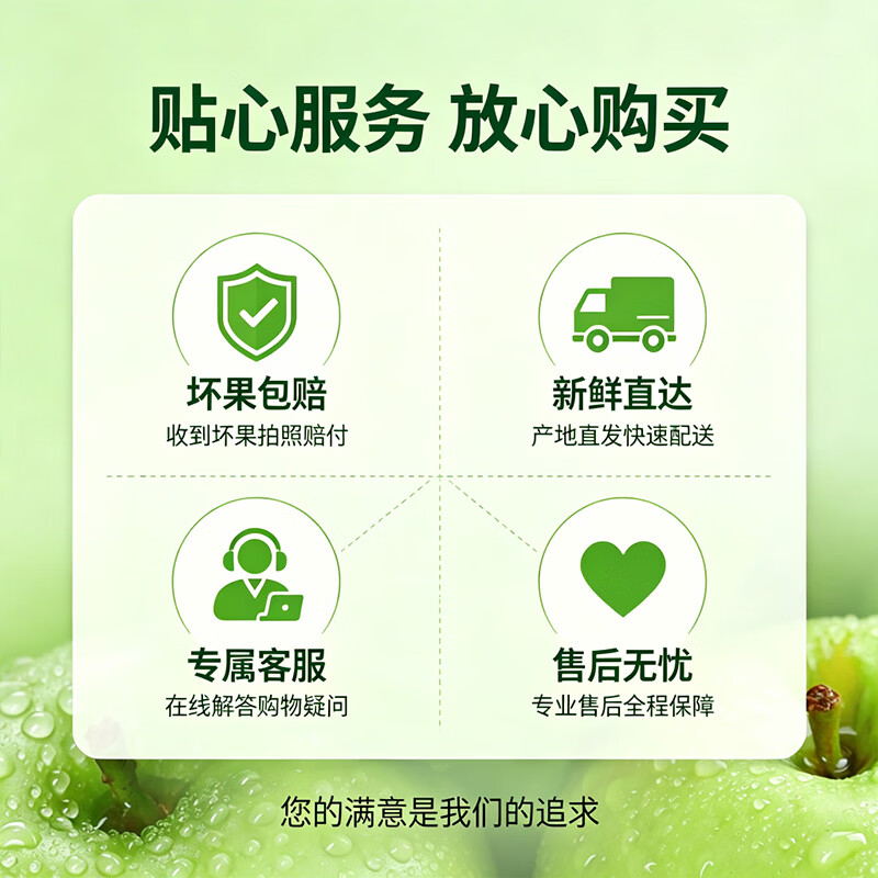 亨迅山西青苹果水果现摘青平果酸甜孕妇整箱新鲜水果 5斤丨【果农手选】净重4.5斤